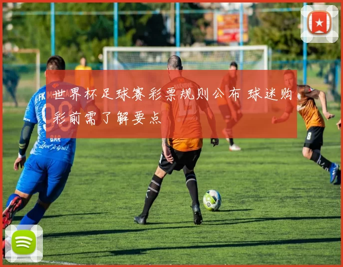 世界杯足球赛彩票规则公布 球迷购彩前需了解要点