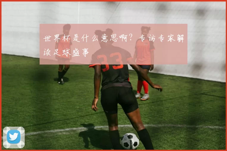 世界杯是什么意思啊？专访专家解读足球盛事