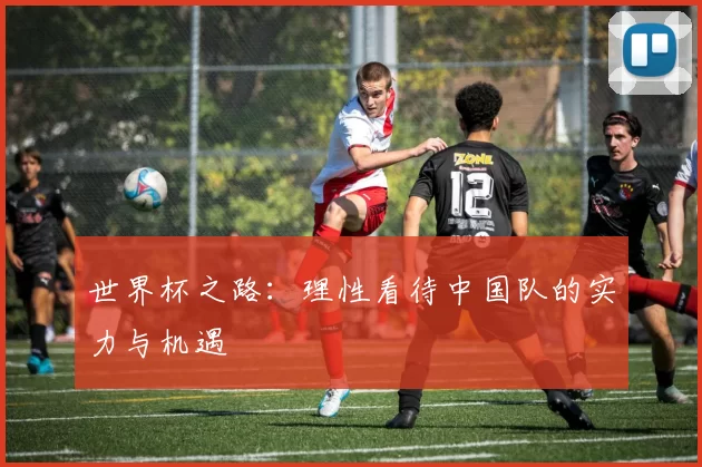 世界杯之路:理性看待中国队的实力与机遇