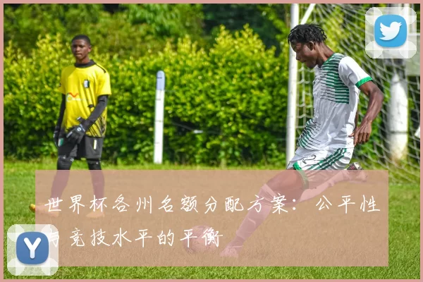世界杯各州名额分配方案:公平性与竞技水平的平衡