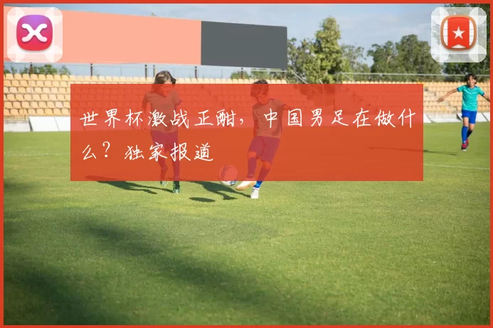 世界杯激战正酣，中国男足在做什么？独家报道
