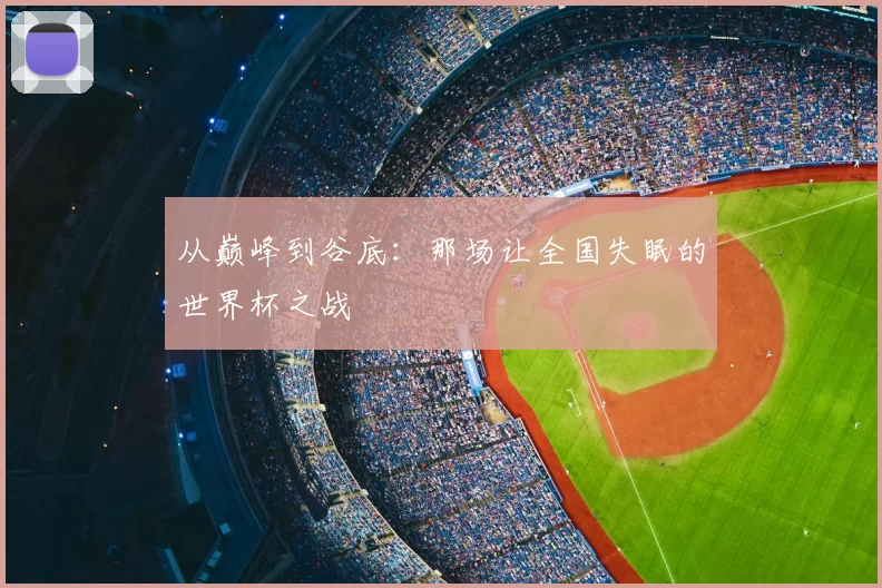 从巅峰到谷底：那场让全国失眠的世界杯之战
