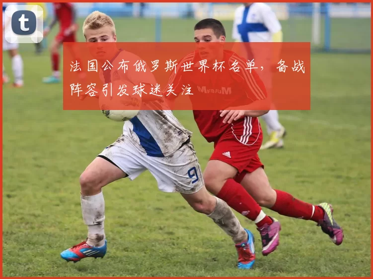 法国公布俄罗斯世界杯名单,备战阵容引发球迷关注