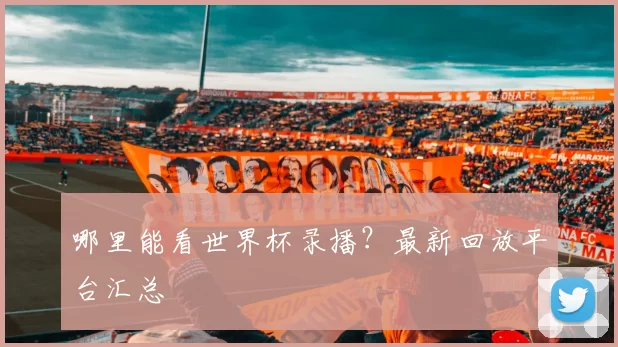 哪里能看世界杯录播？最新回放平台汇总
