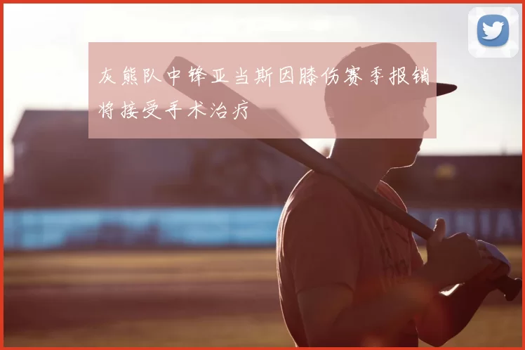 灰熊队中锋亚当斯因膝伤赛季报销将接受手术治疗