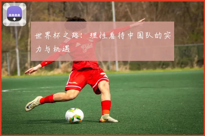 世界杯之路:理性看待中国队的实力与机遇