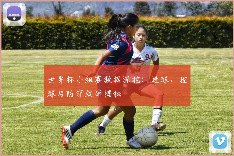 世界杯小组赛数据深挖:进球、控球与防守效率揭秘